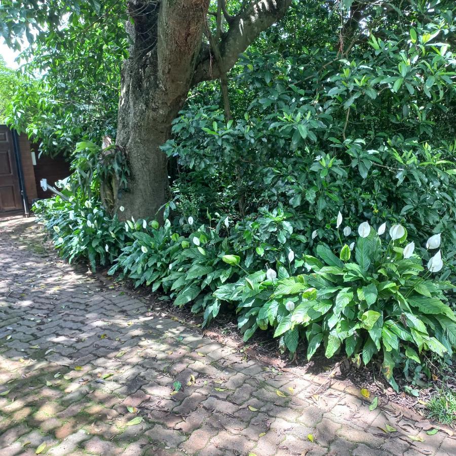 18 Pioneer Kloof Bed and Breakfast Buitenkant foto
