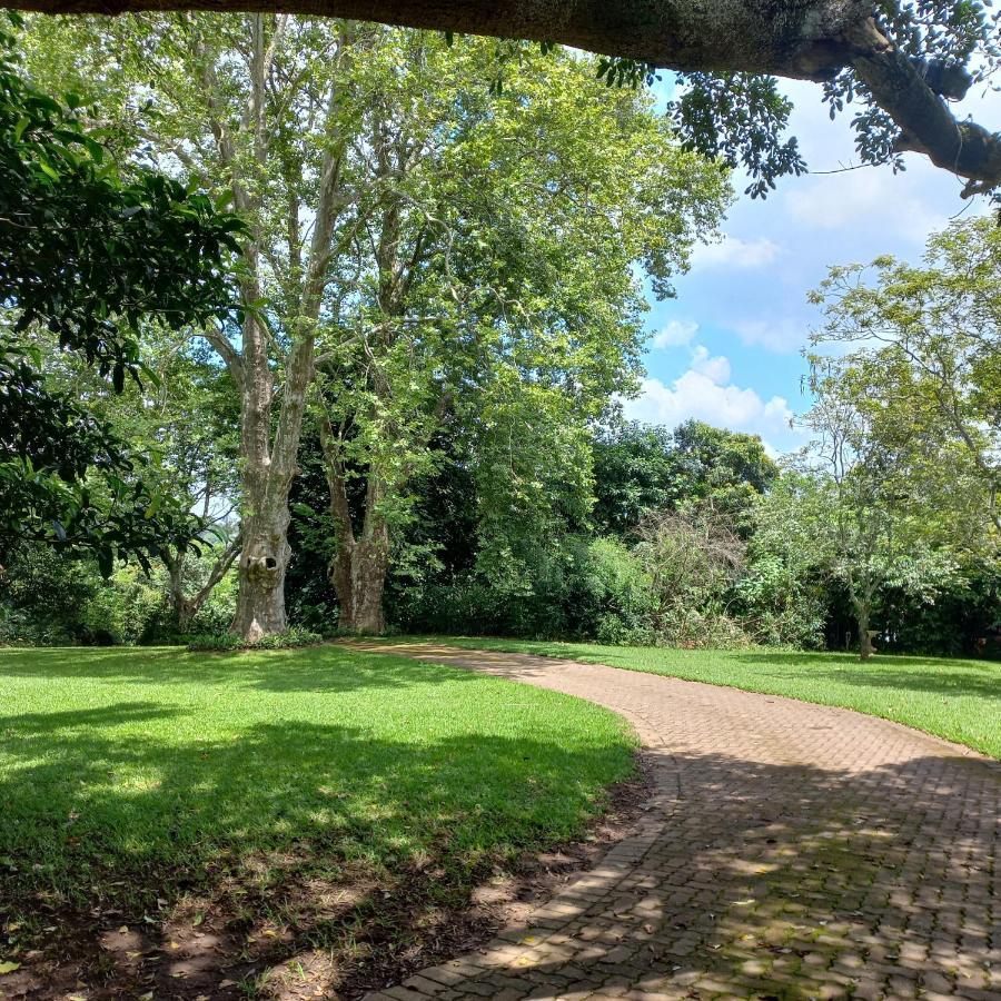 18 Pioneer Kloof Bed and Breakfast Buitenkant foto