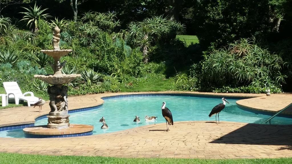 18 Pioneer Kloof Bed and Breakfast Buitenkant foto